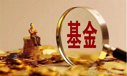 基金里的黄金是怎么换算的_基金里面的金价是什么